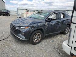 Salvage cars for sale from Copart Earlington, KY: 2024 Hyundai Tucson SEL