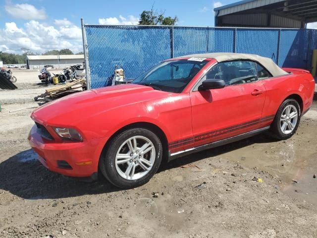 2010 Ford Mustang