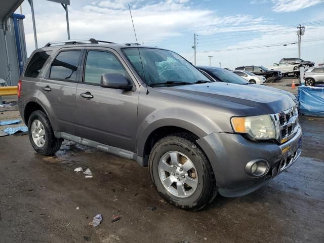 2011 Ford Escape Limited