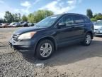 2011 Honda CR-V EXL