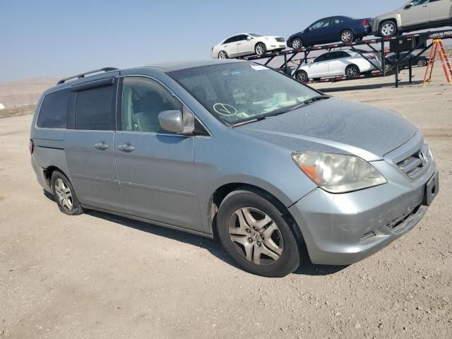 2005 Honda Odyssey EXL