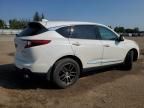 2019 Acura RDX