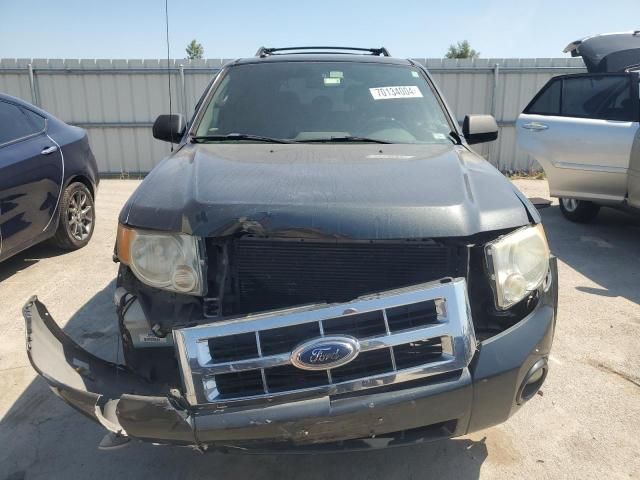 2009 Ford Escape XLT