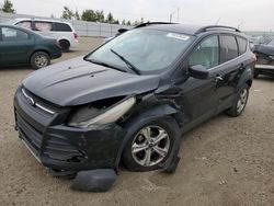 Ford Escape salvage cars for sale: 2014 Ford Escape SE