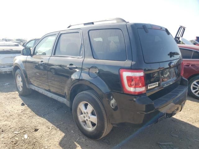 2009 Ford Escape XLT