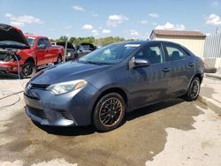 Salvage cars for sale at Louisville, KY auction: 2015 Toyota Corolla L