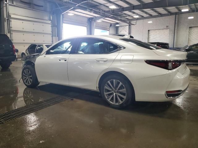 2021 Lexus ES 250 Base