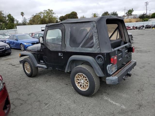 2004 Jeep Wrangler / TJ SE