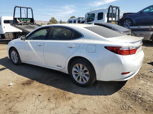 2013 Lexus ES 300H