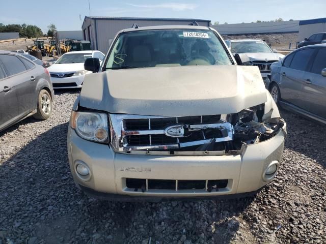 2011 Ford Escape XLT