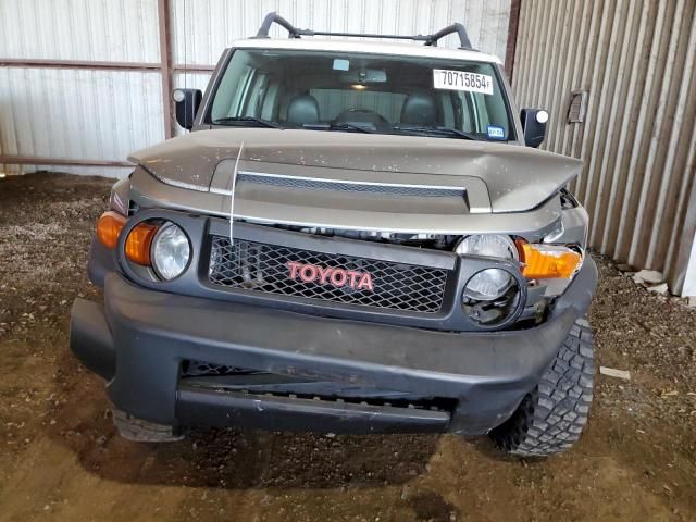 2011 Toyota FJ Cruiser