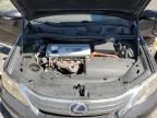 2010 Lexus HS 250H