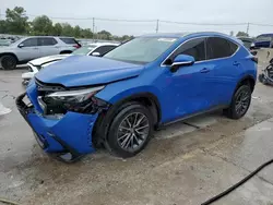 2022 Lexus NX 250 en venta en Lawrenceburg, KY