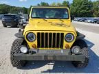 2002 Jeep Wrangler / TJ Sport