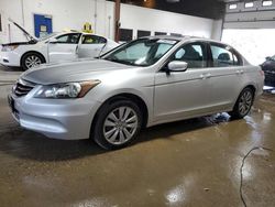 2011 Honda Accord EXL en venta en Blaine, MN