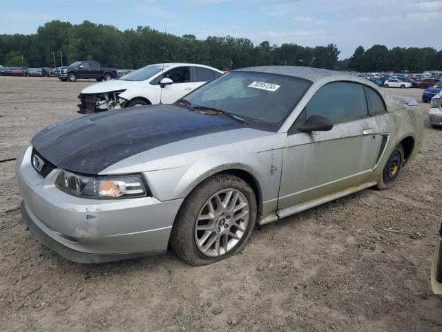 2000 Ford Mustang GT