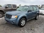 2010 Ford Escape XLS