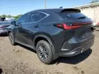 2023 Lexus NX 350H