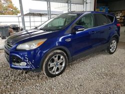 Hail Damaged Cars for sale at auction: 2013 Ford Escape SEL