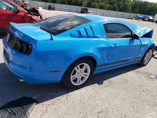 2013 Ford Mustang