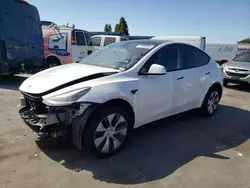 Salvage cars for sale from Copart Hayward, CA: 2023 Tesla Model Y