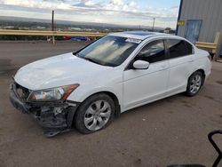 Salvage cars for sale at Albuquerque, NM auction: 2008 Honda Accord EX