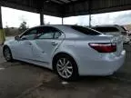 2008 Lexus LS 460