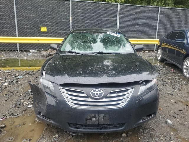 2009 Toyota Camry Hybrid