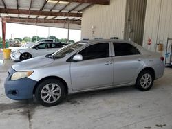 Salvage cars for sale at Homestead, FL auction: 2009 Toyota Corolla Base