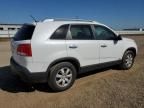 2011 KIA Sorento Base