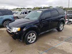 Salvage cars for sale at Louisville, KY auction: 2010 Ford Escape Limited