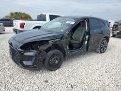 Salvage cars for sale at Taylor, TX auction: 2022 Ford Escape SE