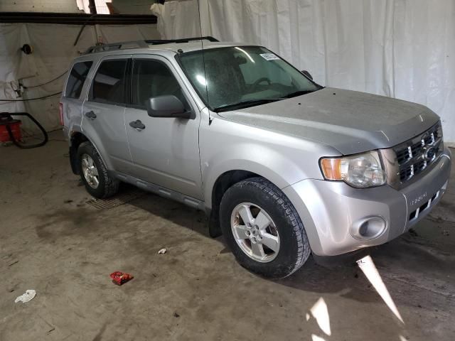 2010 Ford Escape XLS