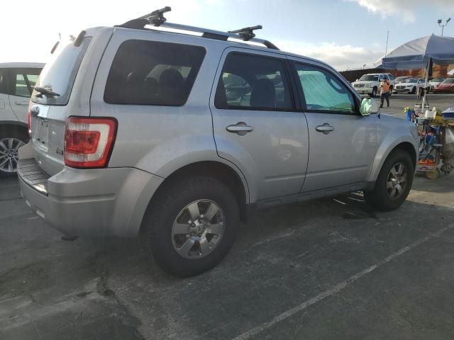 2011 Ford Escape Limited