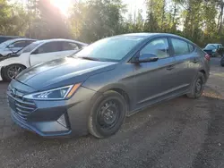 Salvage cars for sale at Cookstown, ON auction: 2020 Hyundai Elantra SEL