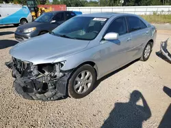 Toyota salvage cars for sale: 2007 Toyota Camry CE