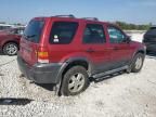 2006 Ford Escape XLT