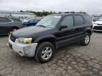 2005 Ford Escape XLT