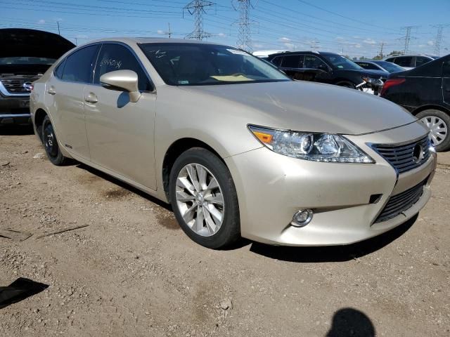 2014 Lexus ES 300H