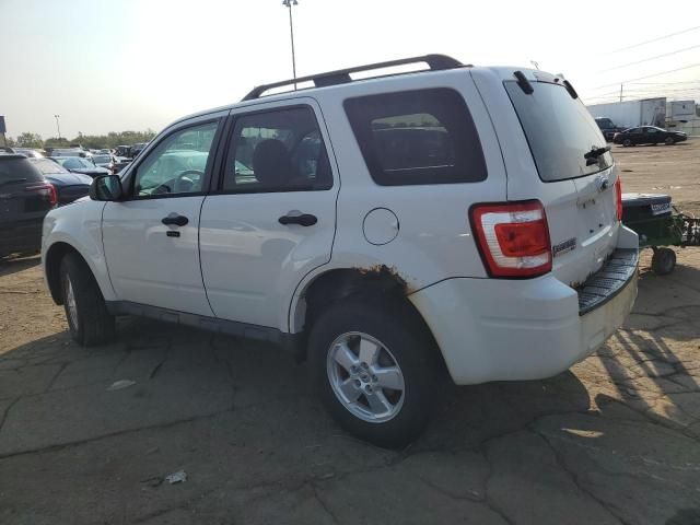 2011 Ford Escape XLT