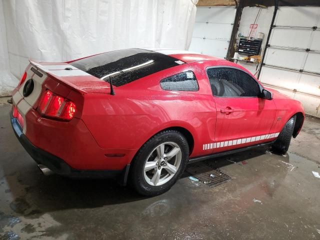 2010 Ford Mustang GT