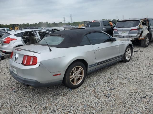 2010 Ford Mustang