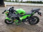 2024 Kawasaki EX500 H