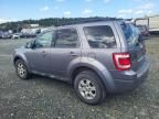 2008 Ford Escape Limited