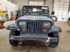 1994 Jeep Wrangler / YJ S