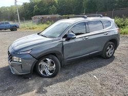 Salvage cars for sale at Baltimore, MD auction: 2023 Hyundai Santa FE SEL