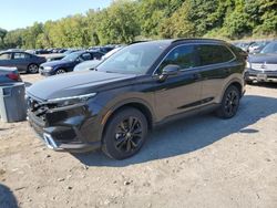 Salvage trucks for sale at Marlboro, NY auction: 2024 Honda CR-V Sport Touring