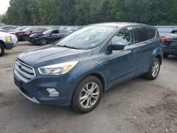 Salvage cars for sale at Glassboro, NJ auction: 2019 Ford Escape SE