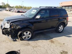 Salvage cars for sale at Fort Wayne, IN auction: 2012 Ford Escape XLT