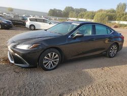 Salvage cars for sale at auction: 2020 Lexus ES 300H